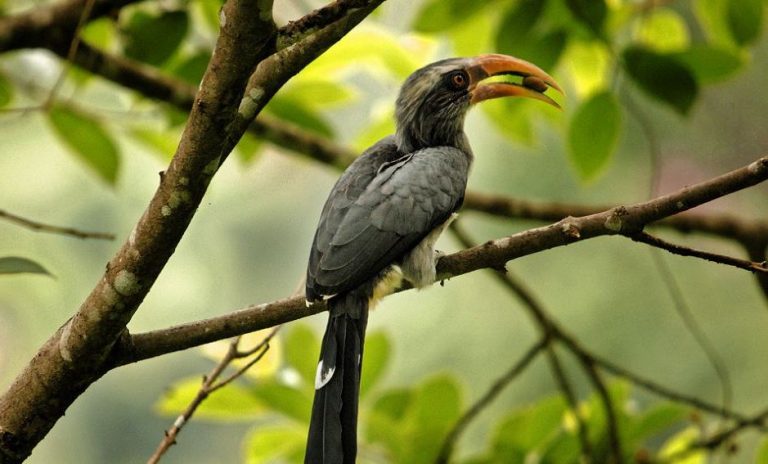 Tour packages to Kerala | Southern India Holidays | London travel agency