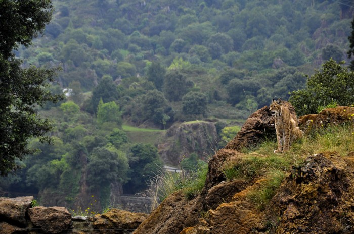 Tour packages to Kerala | Southern India Holidays | London travel agency