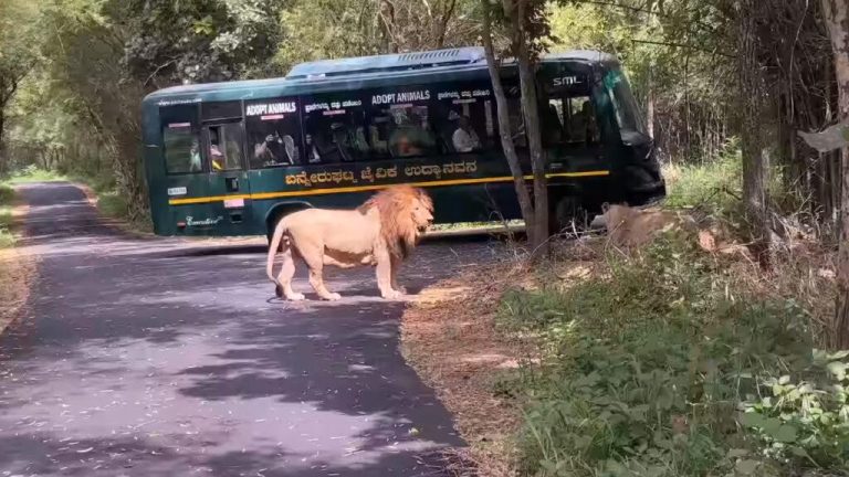 South India Tours and Travels Packages | Southern India Holidays | London Travel Agency