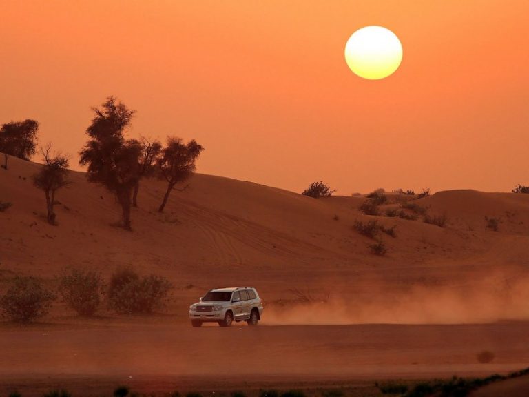 Best Dubai Holiday Packages | Southern India Holidays | London Travel Agency