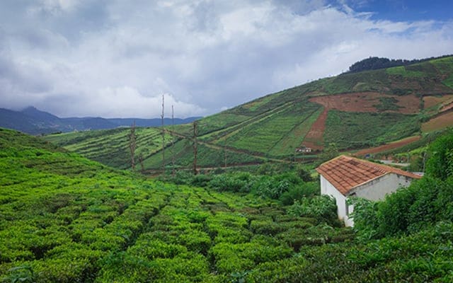 South India Tours and Travels Packages | Southern India Holidays | London Travel Agency