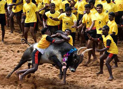South India Tours and Travels Packages | Southern India Holidays | London Travel Agency