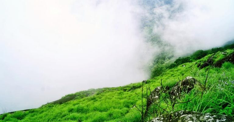 Best Holiday Packages In South India | Southern India Holidays | London Travel Agency