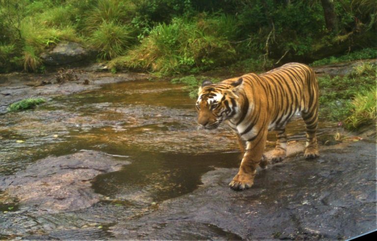 South India Tours and Travels Packages | Southern India Holidays | London Travel Agency