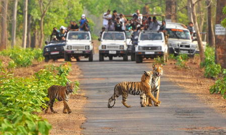 South India Tours and Travels Packages | Southern India Holidays | London Travel Agency