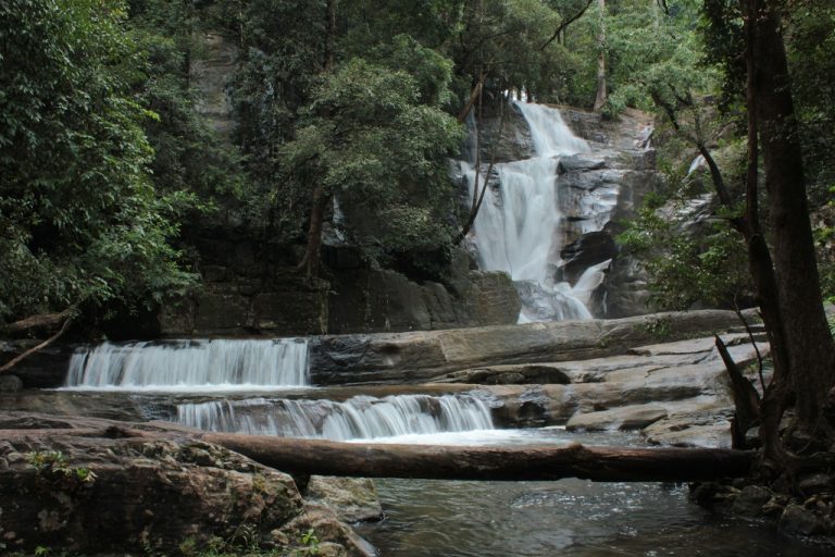 Kerala Holiday Packages | Southern India Holidays | London Travel Agency