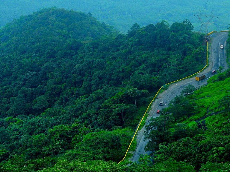 Best Holiday Packages In South India | Southern India Holidays | London Travel Agency