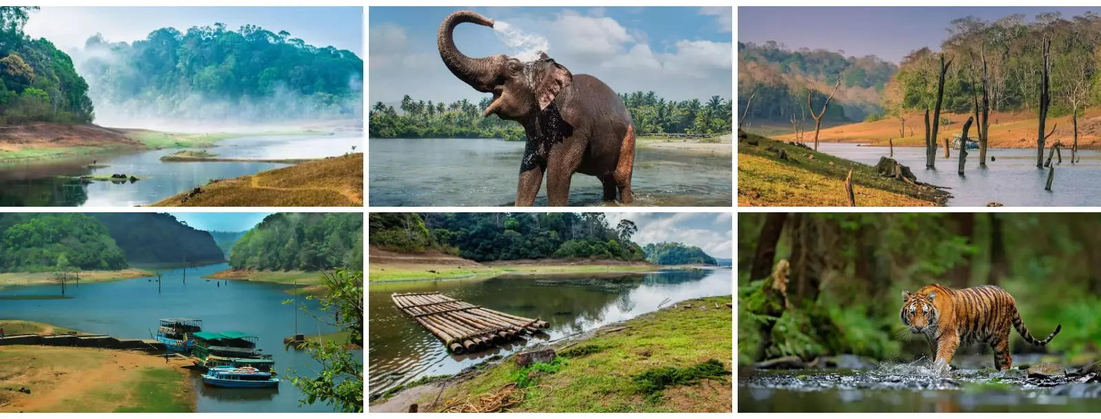 Kerala holiday packages | Southern India Holidays | London travel agency