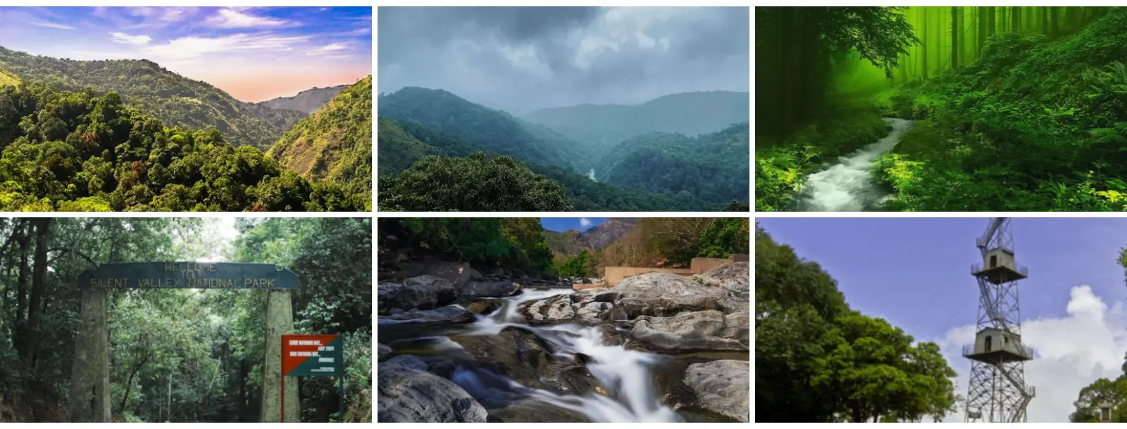 Kerala holiday packages | Southern India Holidays | London travel agency
