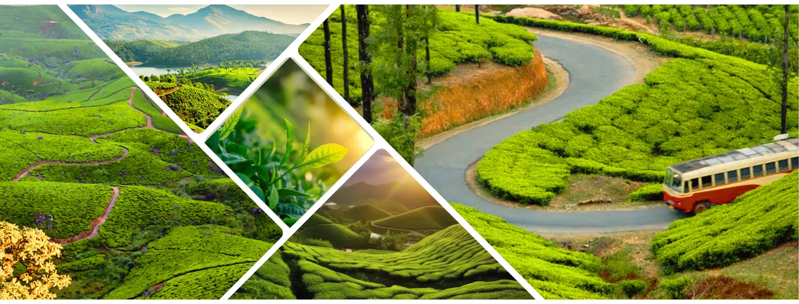 Kerala holiday packages | Southern India Holidays | London travel agency