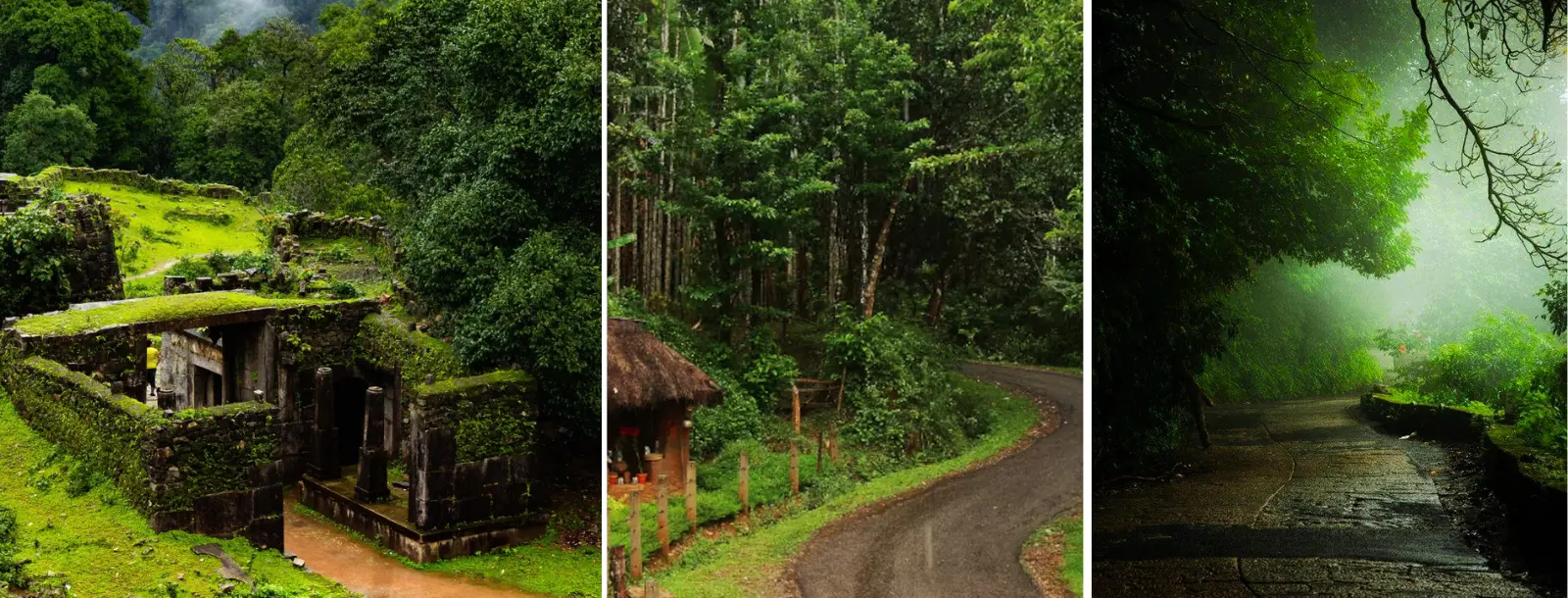 south india tours and travels packages | Southern India Holidays | London travel agency