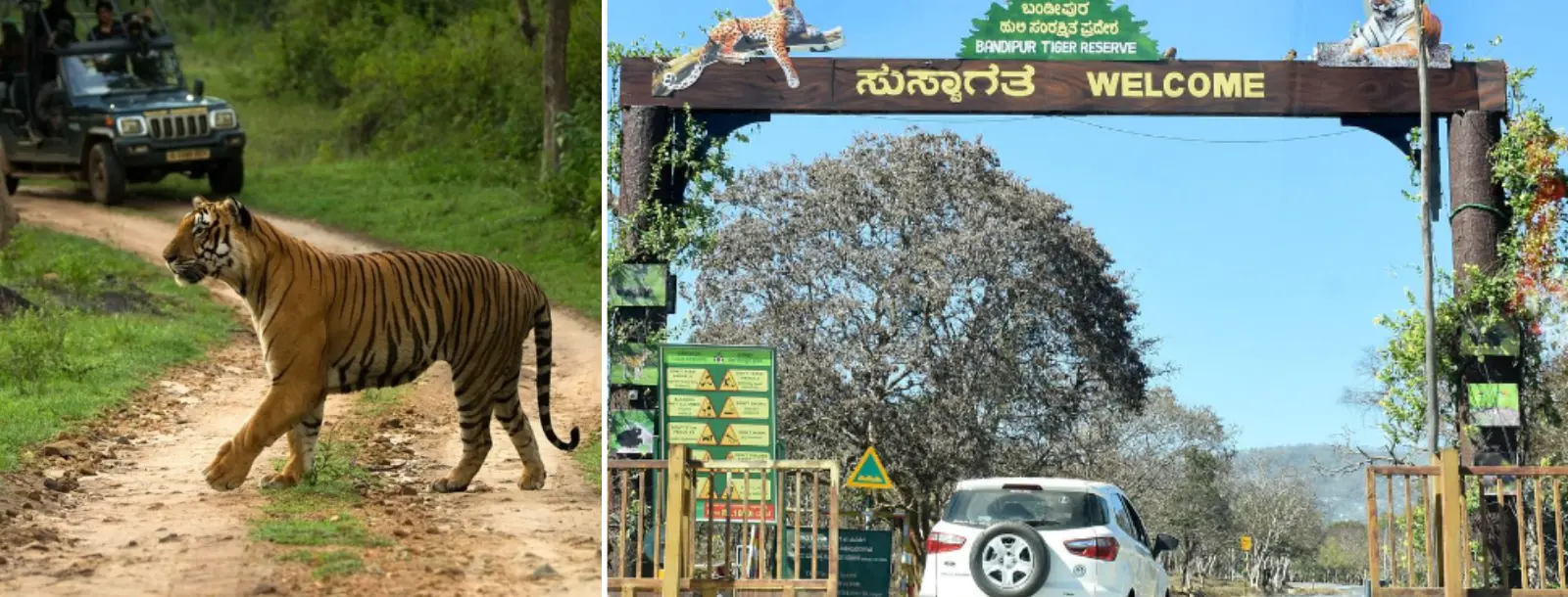 south india tours and travels packages | Southern India Holidays | London travel agency