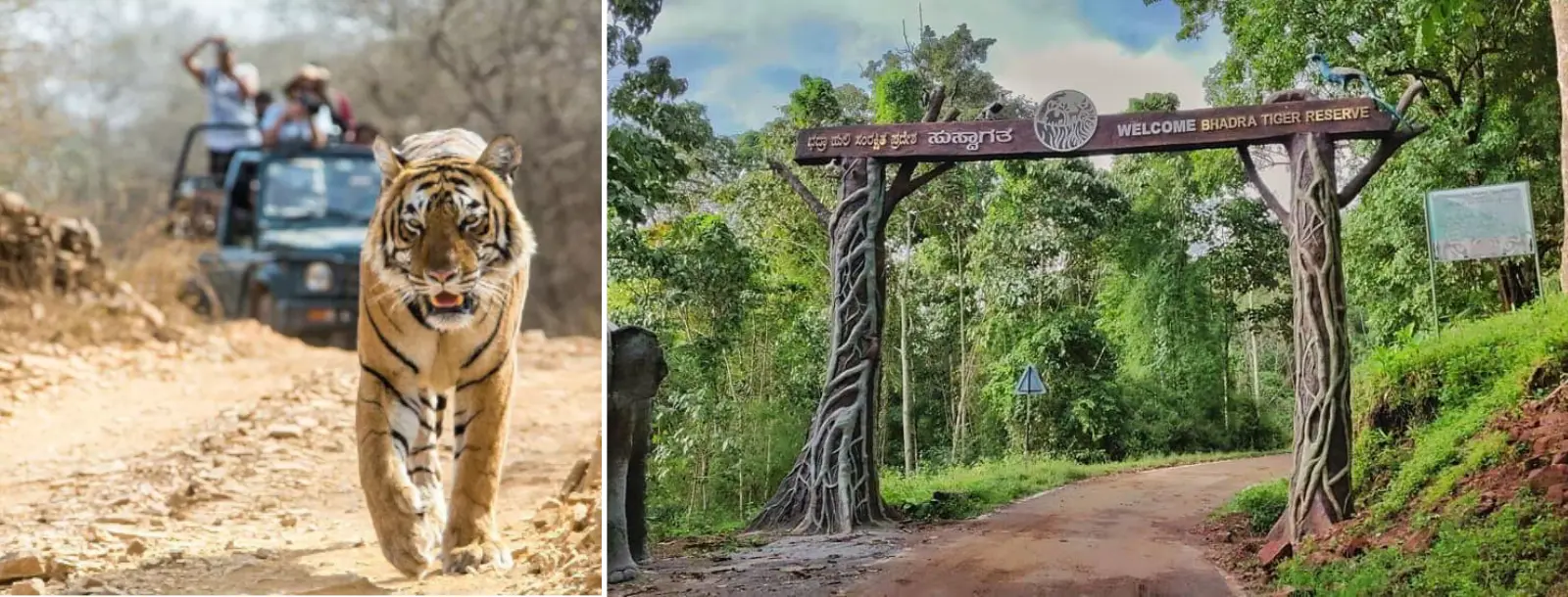 South india tours and travels packages | Southern India Holidays | London travel agency