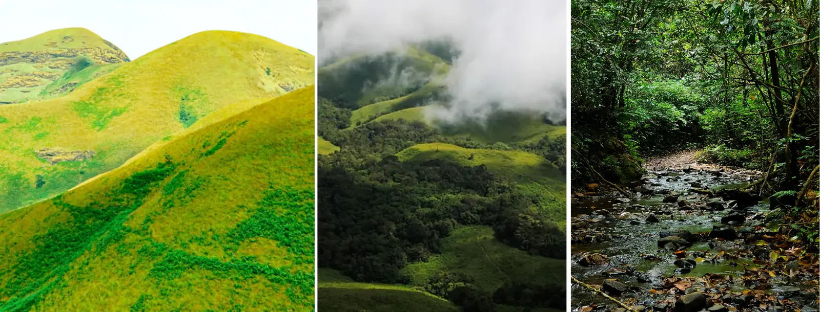 south india tours and travels packages | Southern India Holidays | London travel agency