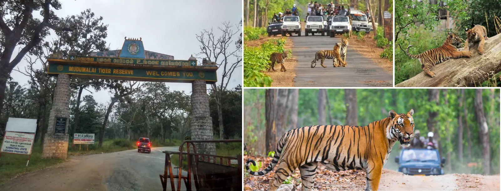 kerala holiday packages | Southern India Holidays | London travel agency