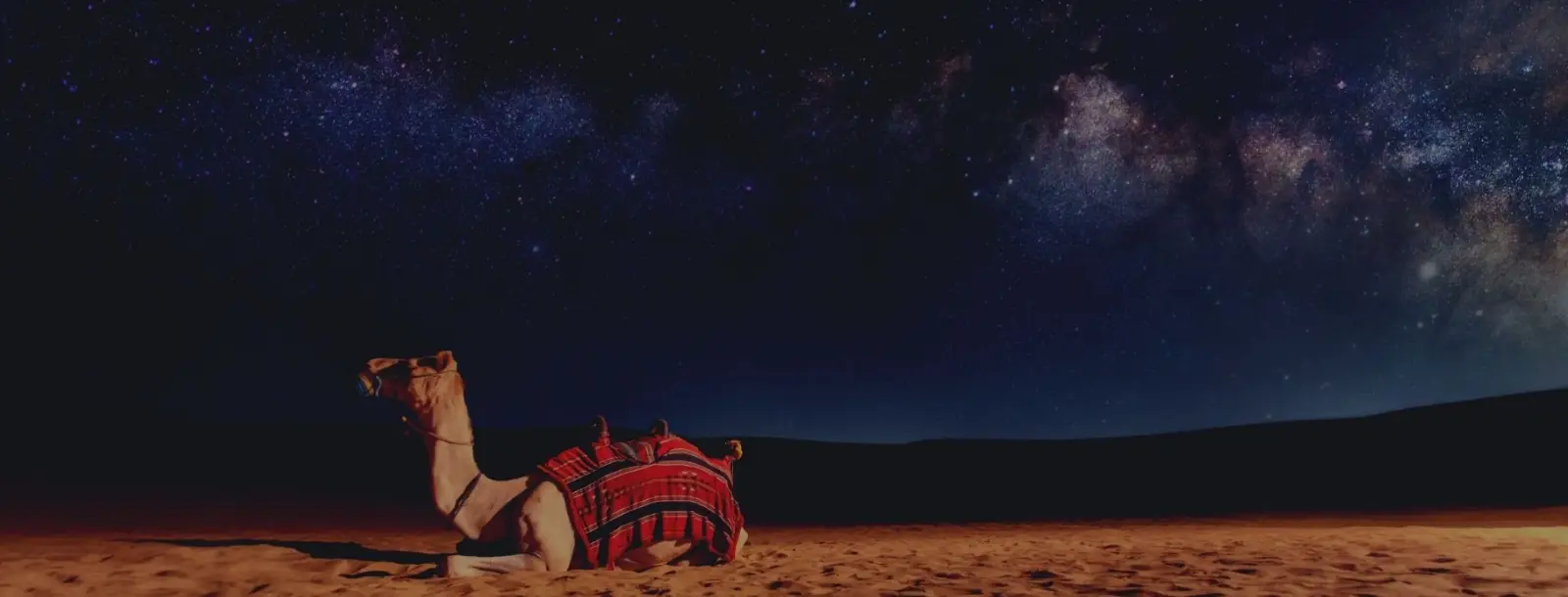 best dubai holiday packages | Southern India Holidays | London travel agency
