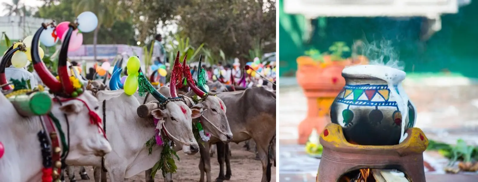 south india tours and travels packages | Southern India Holidays | London travel agency